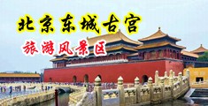 插进来好粗好大骚货视频中国北京-东城古宫旅游风景区